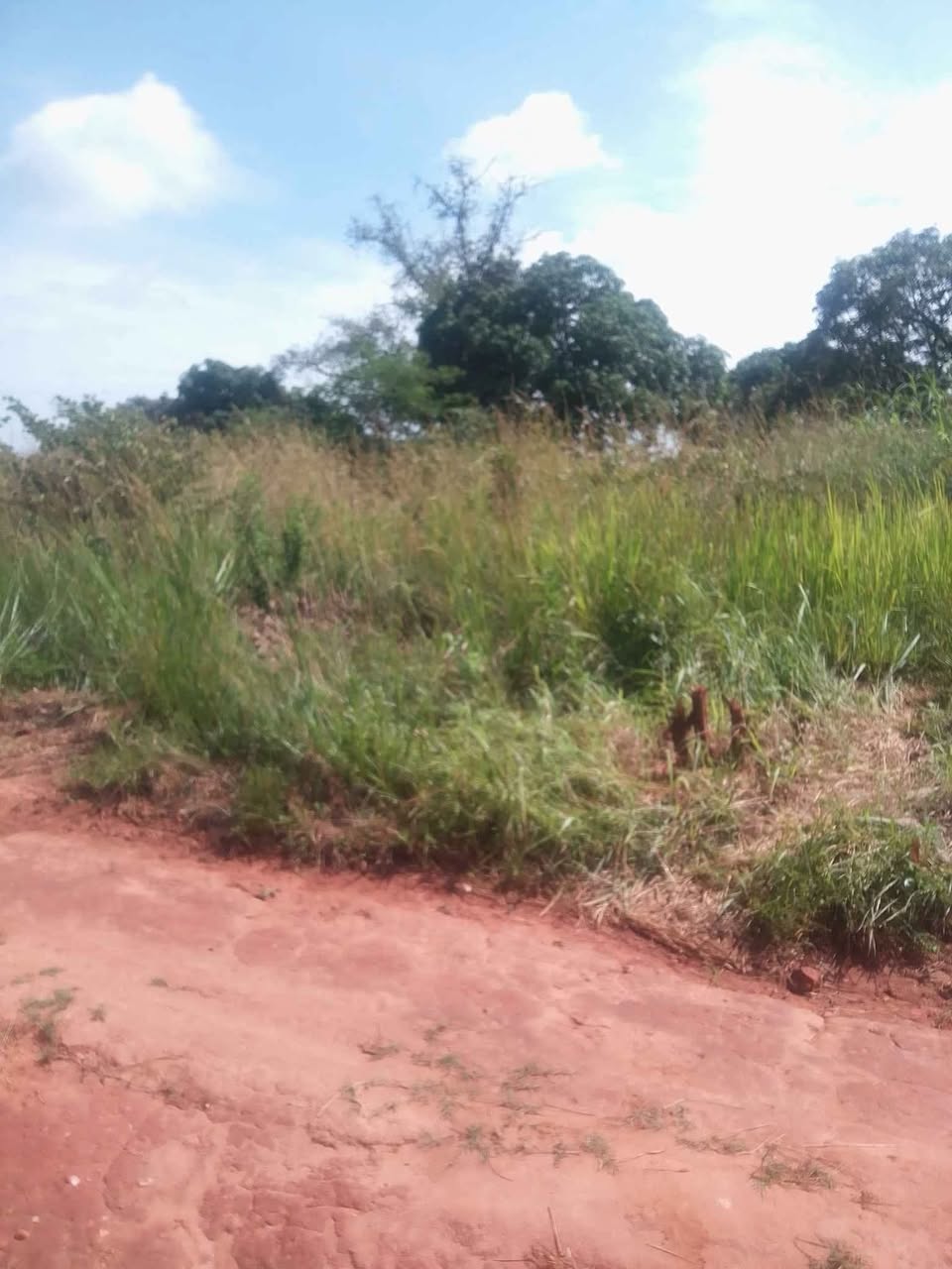 farms for sale