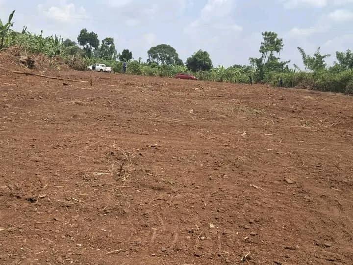 A picture of Gayaza kiwenda plots at 17m
