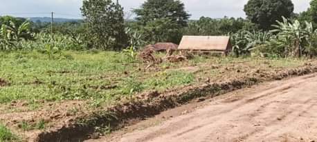 A picture of PLOTS LOCATED WAKISO NAMUSERA BULONDO
