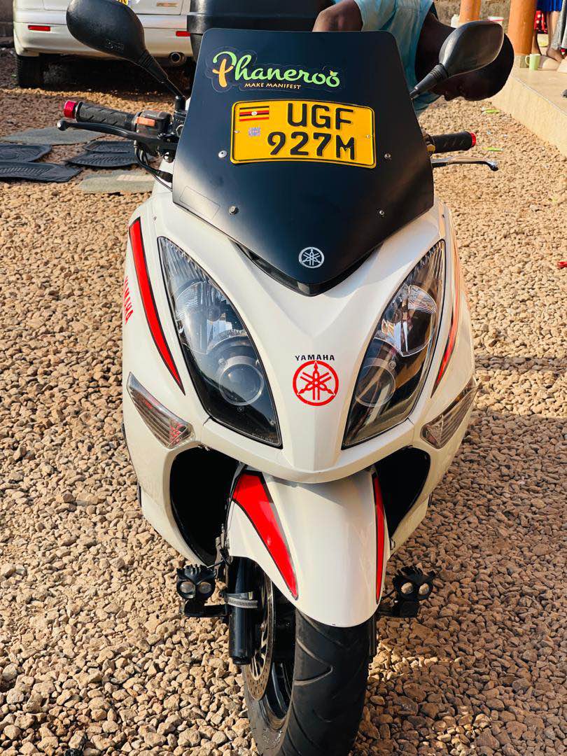 motorbikes