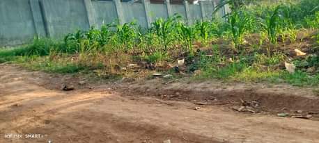 A picture of Business plot for sale in kawanda town 16m starting on