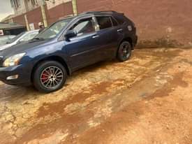 A picture of Registered 2006 Rx 330 baked from first body pan full
