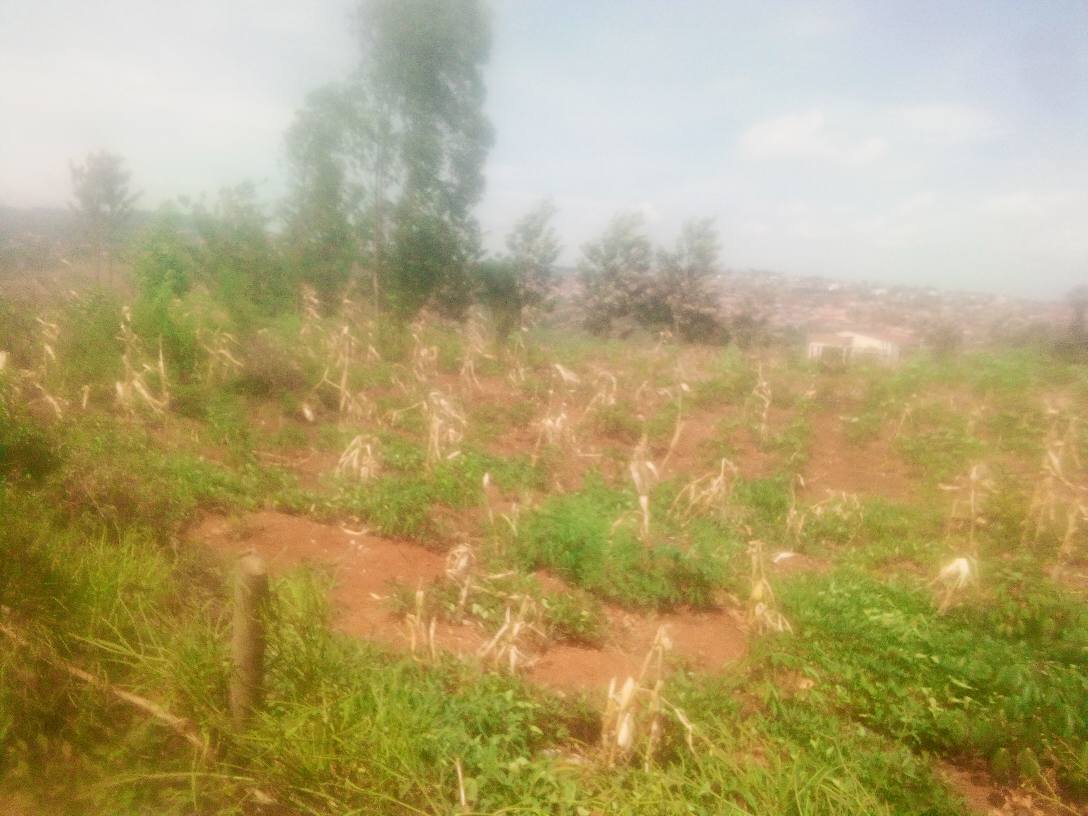 land