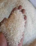 A picture of MCHELE SUPER