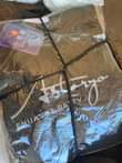 A picture of TSHIRT NA PENSI YAKE