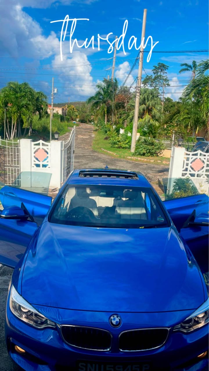 bmw 420i
