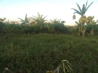 A picture of 180ft by 90ft for sale by owner in kisoga along