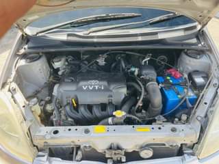 A picture of Vitz