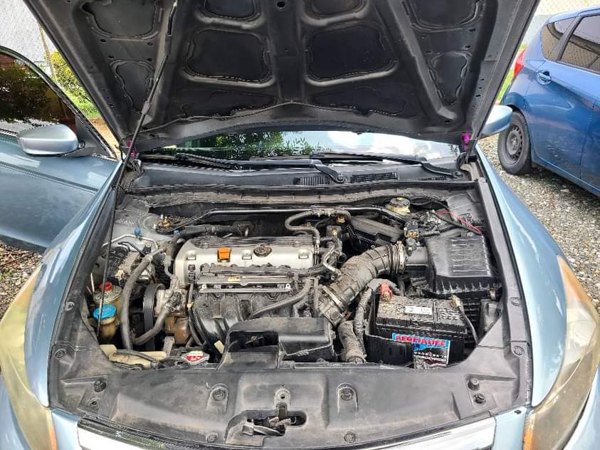 honda accord