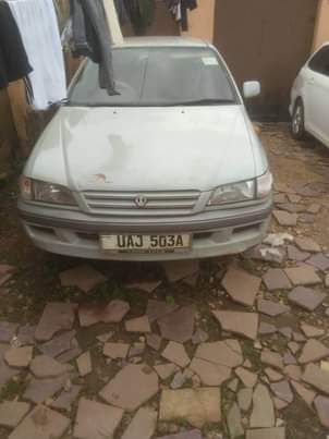 A picture of Offer PREMIO 7m 0708945019 0785475076