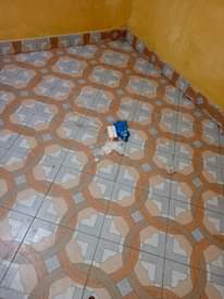 A picture of Tiled and clean for rent in Namungoona