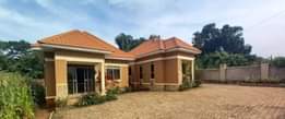 A picture of Rentals On Quick Sale found in Wakiso Nkoowe Making 1
