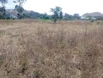 A picture of Viwanja viko Buhongwa 20 20 Bei Mil 1.3 ww ukiwa