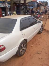 A picture of Toyota kikumi kumi for sale