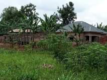 A picture of Plot on quick sale 13m with title Located at matugga