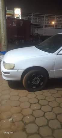 A picture of Kikumi