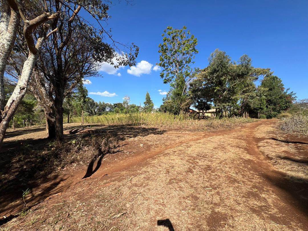 A picture of Property For Sale