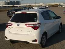 Osa M.