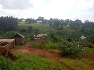 Gavamukulya T.