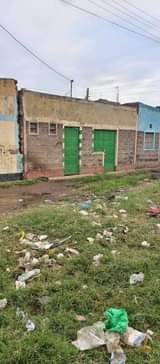 Njeri M.
