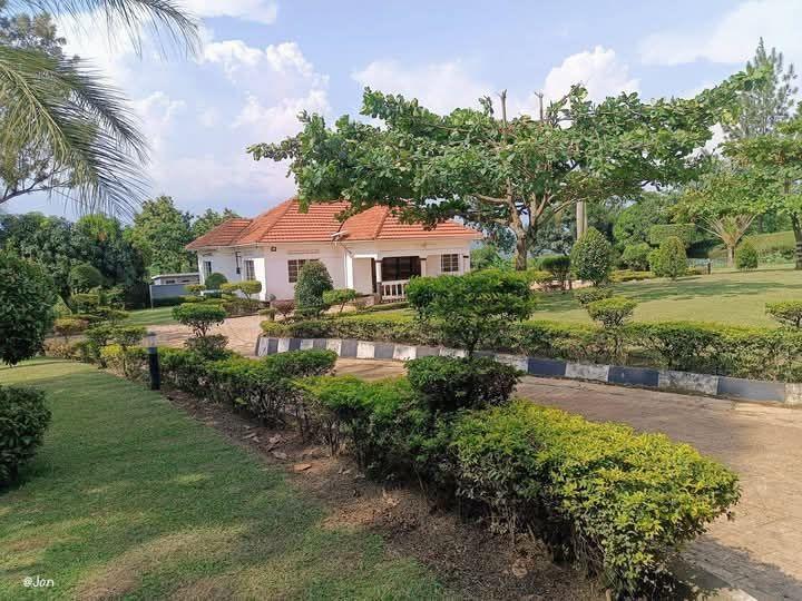 A picture of Country home for sale at 450m ugx at Nakawuka off