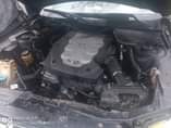 A picture of 