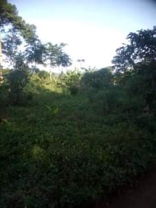 A picture of Land