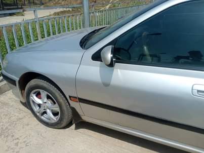 A picture of 406 MONKEY TALE DISTRESS 08038959545