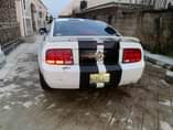 A picture of Mustang Money Needed Asap