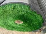 A picture of Grass Carpet