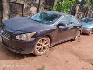 A picture of Nissan Maxima 2010