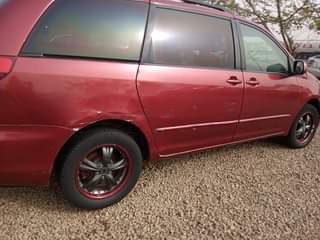 A picture of sienna 04