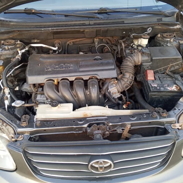 A picture of Toyota Corolla 06