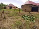 A picture of Plot in Katete mbarara WhatsApp 0781260064