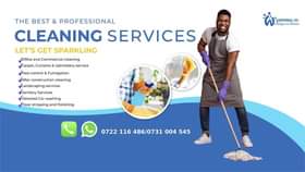 cleaning services