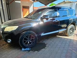 A picture of Toyota Vanguard