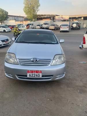 zed cars_under_20pin