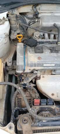 A picture of Premio old