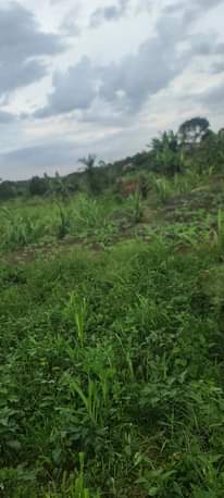 A picture of Plots for sale