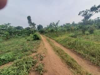 A picture of Gt