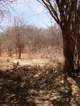 A picture of Kila heka ni elfu 50