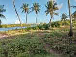 A picture of Beach plot inauzwa Kigamboni Manispaa BUYUNI CALL 0716888799 BEI MILION