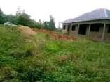 A picture of CHEAP PLOTs ON SALE 50x100ft for 5Million Located matugga kanyanda