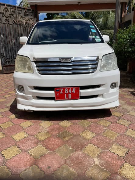 A picture of Noah voxy 7 m