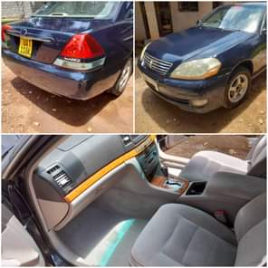 A picture of Grande 10m Forester 11m cal 0709 633379