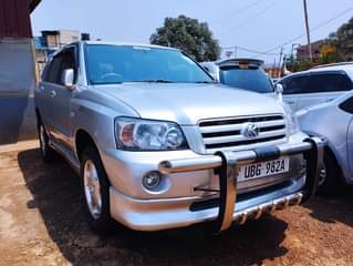 A picture of Kruger on sale 35m