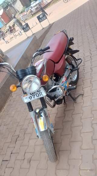 motorbikes