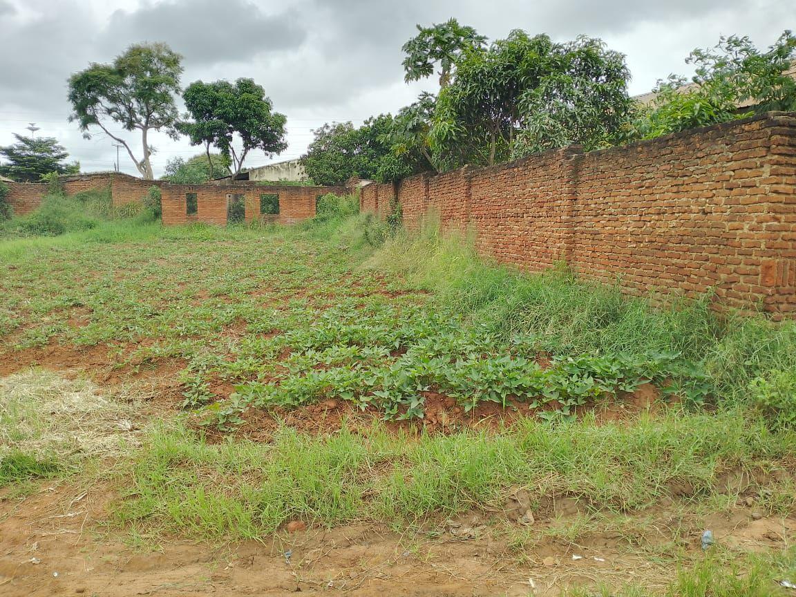 land