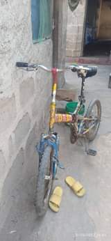 A picture of Baskel