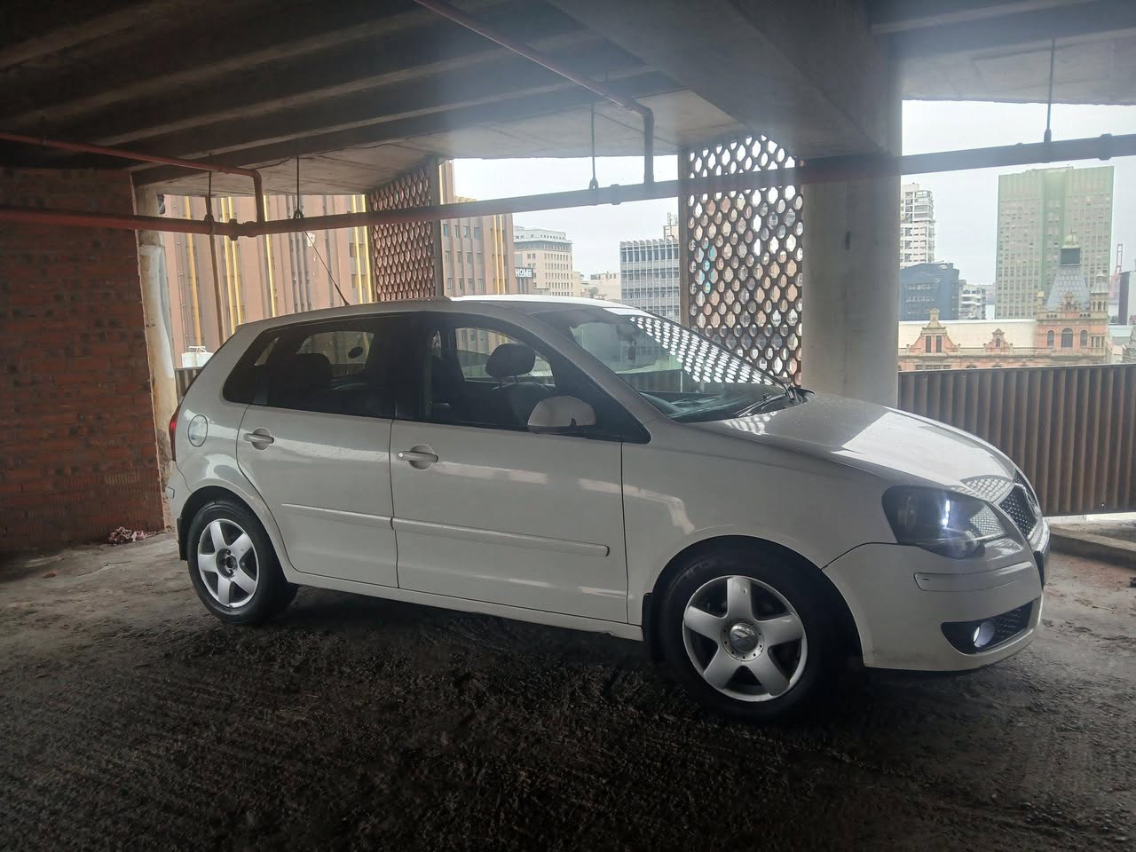 polo bujwa